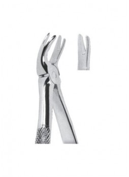 Extracting Forceps